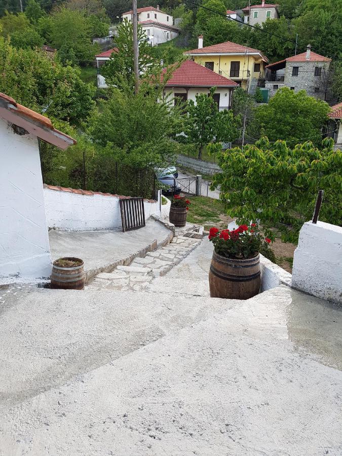 Proias Guesthouse 7Km From Meteora!At Village Vlachava Kalambáka Kültér fotó